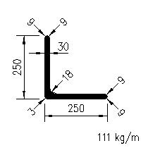 L 250x250x30