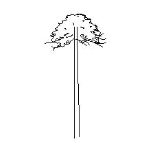 tree-ele003