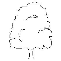 tree-ele037