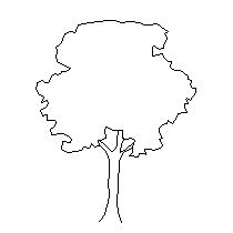 tree-ele058