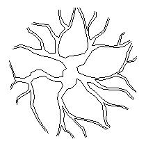 tree-pln053