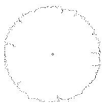 tree-pln059