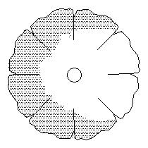 tree-pln072